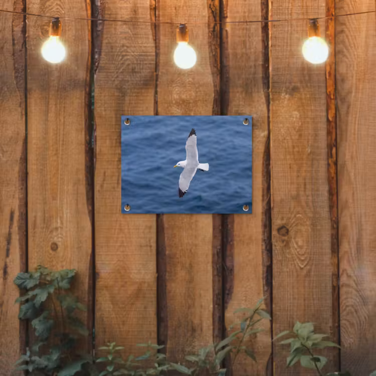 Zeemeeuw - Oceaan - Blauw tuinposter los doek klein -sfeer1