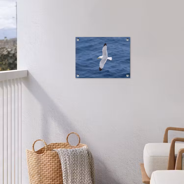 Zeemeeuw - Oceaan - Blauw tuinposter los doek klein -sfeer8