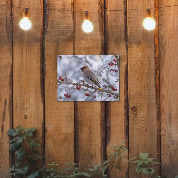 Pestvogel - Bessen - Winter - Natuur tuinposter los doek klein -sfeer1