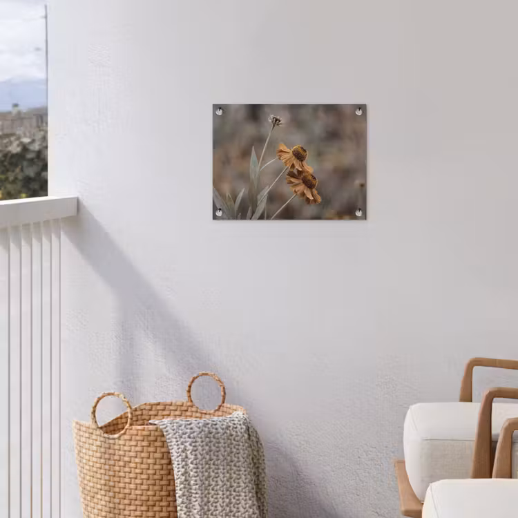 Zonnehoed - Droogbloemen - Geel - Warm tuinposter los doek klein -sfeer8