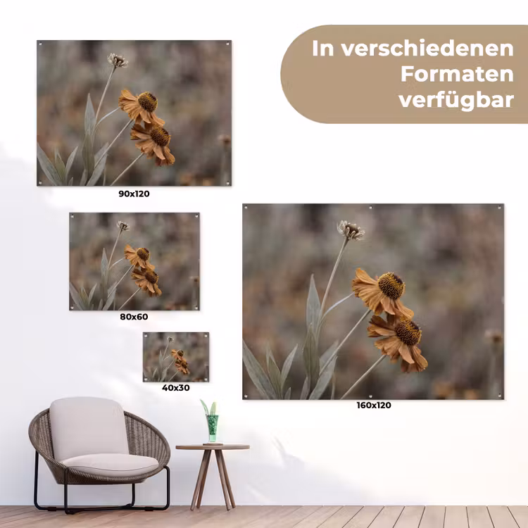 Zonnehoed - Droogbloemen - Geel - Warm tuinposter los doek klein -Xsfeer9_DE