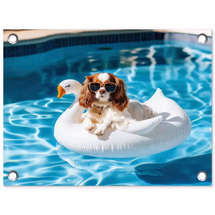 Spaniel - Zonnebril - Zwemband - Zwemband tuinposter los doek klein -3d