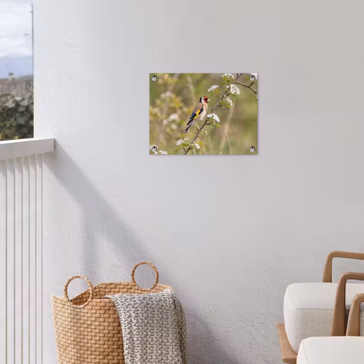 Putter - Bloesem - Lente - Natuur - Kleurrijk tuinposter los doek klein -sfeer8