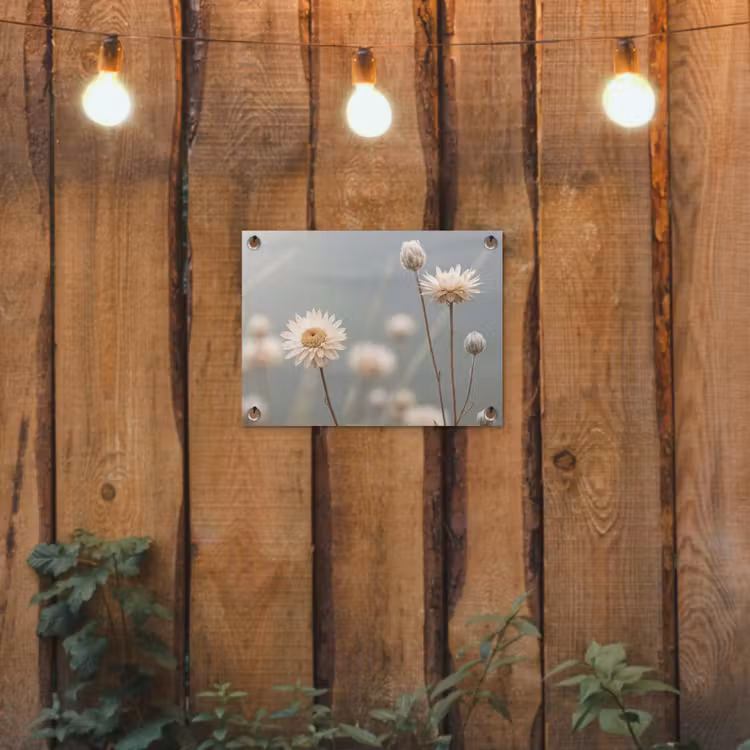 Strobloemen - Wit - Daglicht tuinposter los doek klein -sfeer1