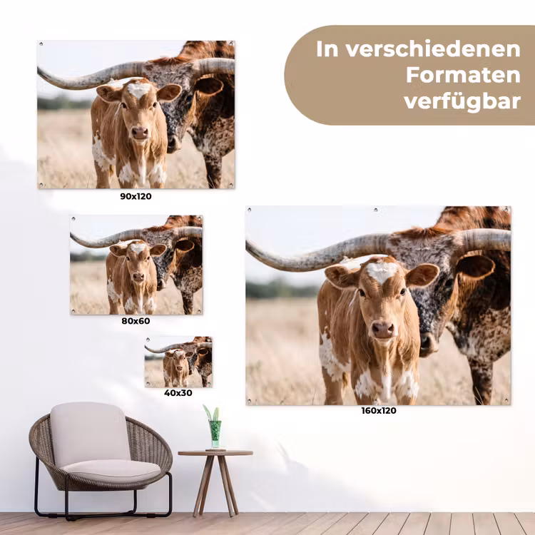 Texas Longhorn - Kalf - Weide - Dieren tuinposter los doek klein -Xsfeer9_DE