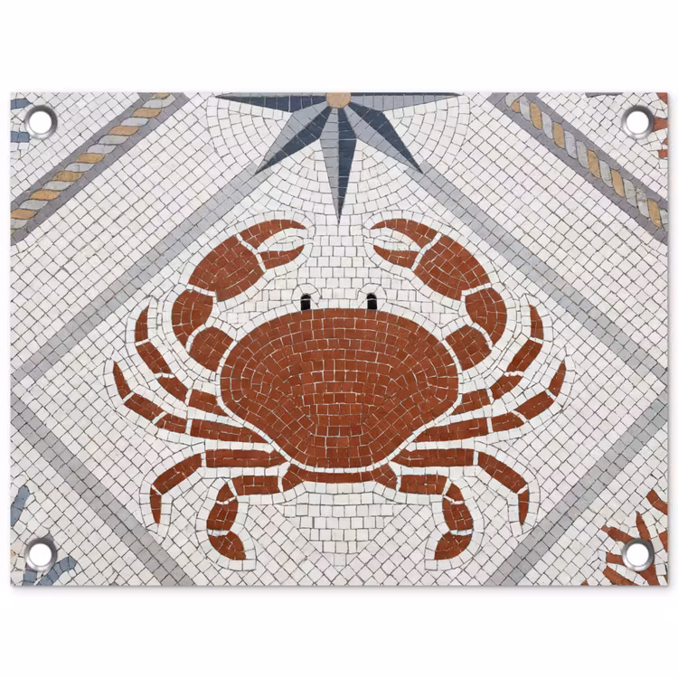 Dier - Mozaïek - Zee - Klassiek - Bruin tuinposter los doek klein -3d