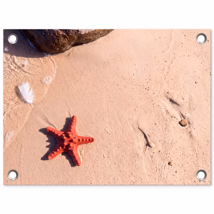 Dieren - Strand - Zee - Natuur - Rood tuinposter los doek klein -3d