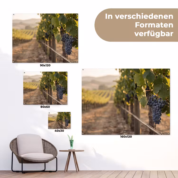 Druiven - Wijngaard - Zonlicht tuinposter los doek klein -Xsfeer9_DE