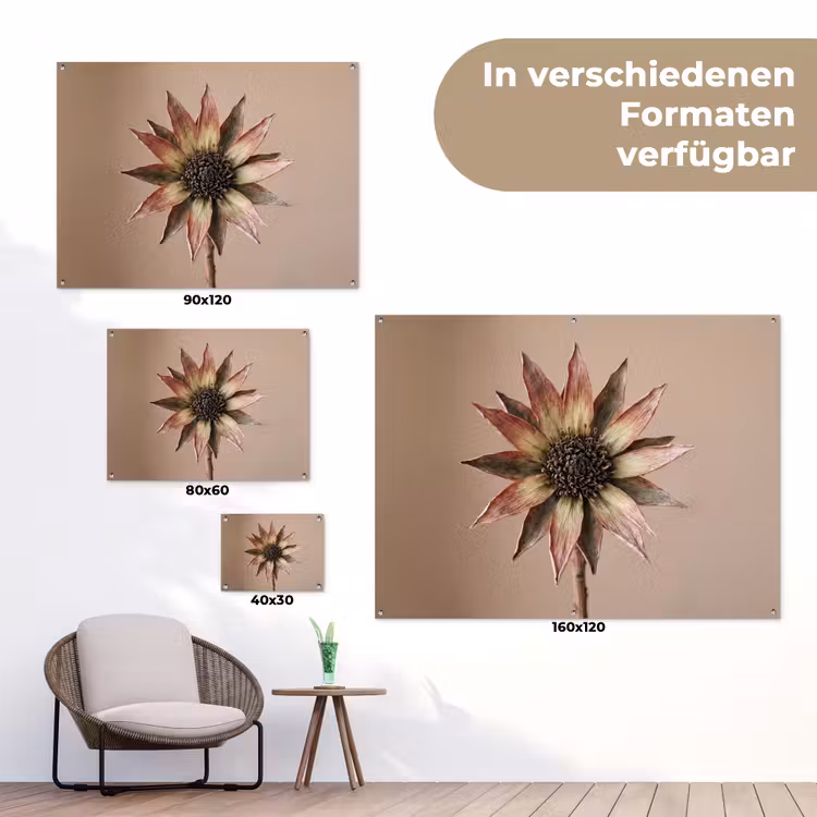 Droogbloem - Protea - Vintage - Beige - Rustiek tuinposter los doek klein -Xsfeer9_DE