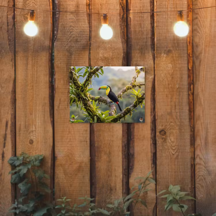 Toekan - Jungle - Natuur - Kleurrijk tuinposter los doek klein -sfeer1
