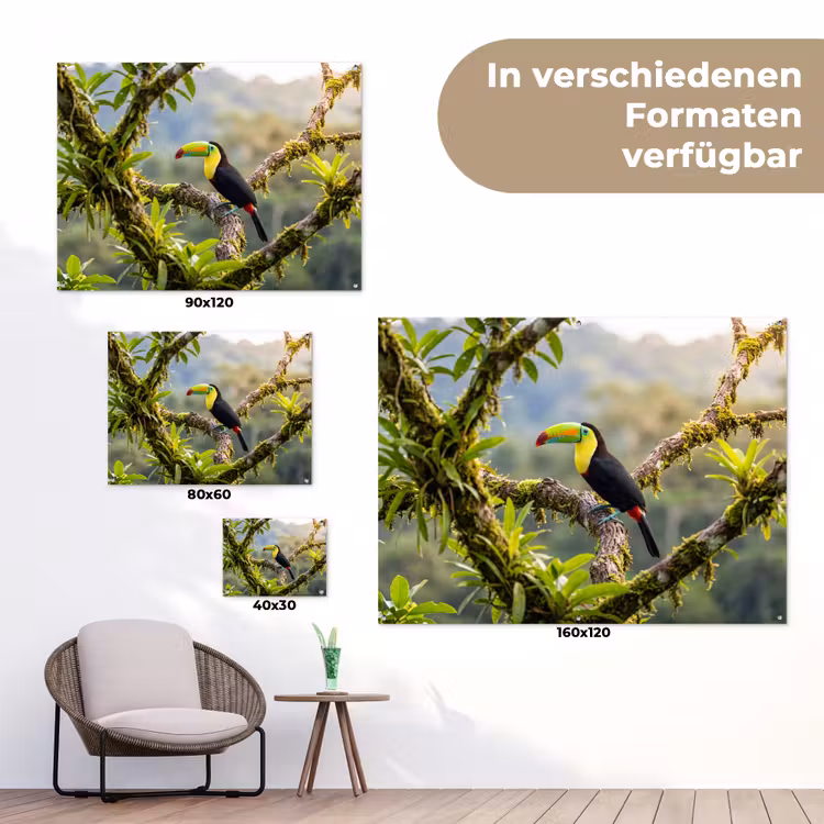 Toekan - Jungle - Natuur - Kleurrijk tuinposter los doek klein -Xsfeer9_DE