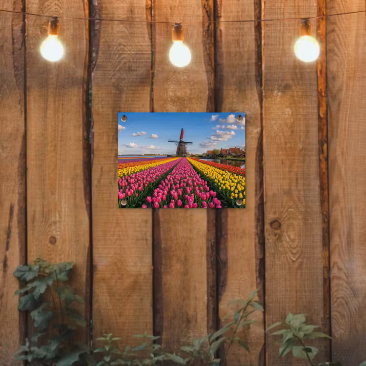 Tulpen - Holland - Molen - Kleurrijk tuinposter los doek klein -sfeer1