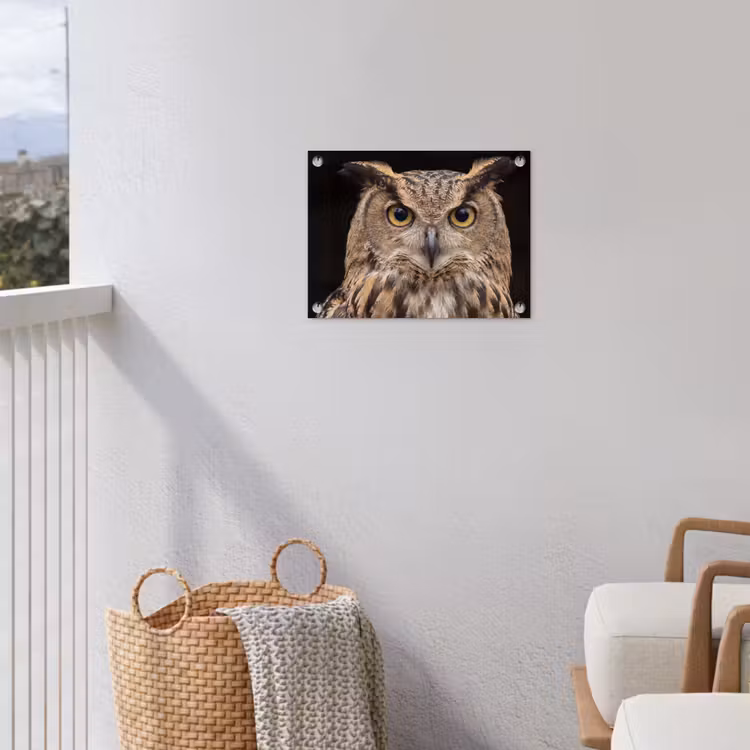 Oehoe - Uil - Portret - Bruin tuinposter los doek klein -sfeer8