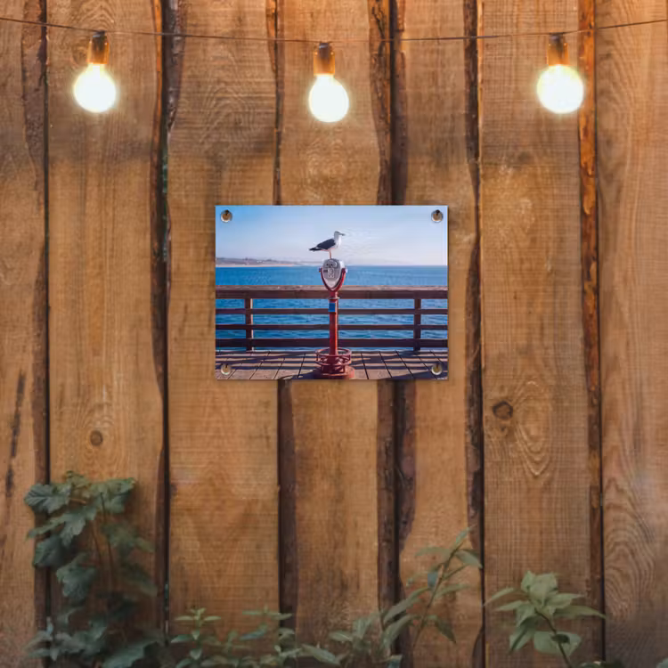 Vogel - Verrekijker - Kust - Zee - Blauw tuinposter los doek klein -sfeer1