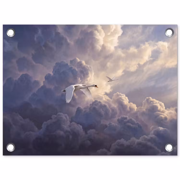 Vogel - Vliegend - Natuur - Wit - Wolken tuinposter los doek klein -3d