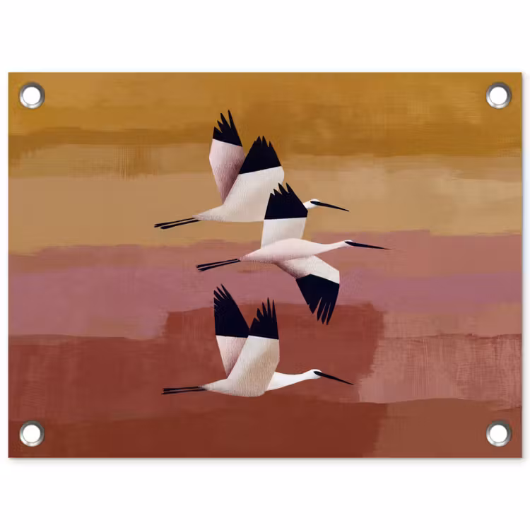 Vogels - Snavel - Abstract tuinposter los doek klein -3d
