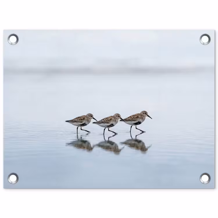 Vogels - Water - Grijs tuinposter los doek klein -3d