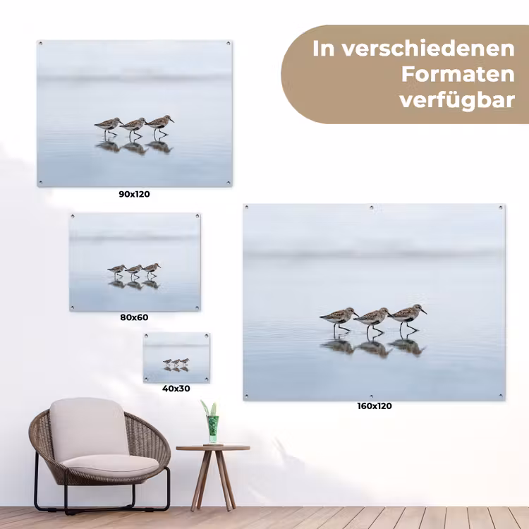 Vogels - Water - Grijs tuinposter los doek klein -Xsfeer9_DE