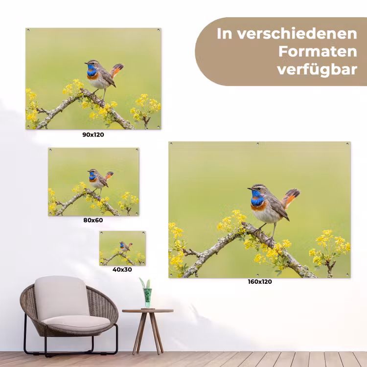 Vogel - Tak - Natuur - Kleurrijk tuinposter los doek klein -Xsfeer9_DE