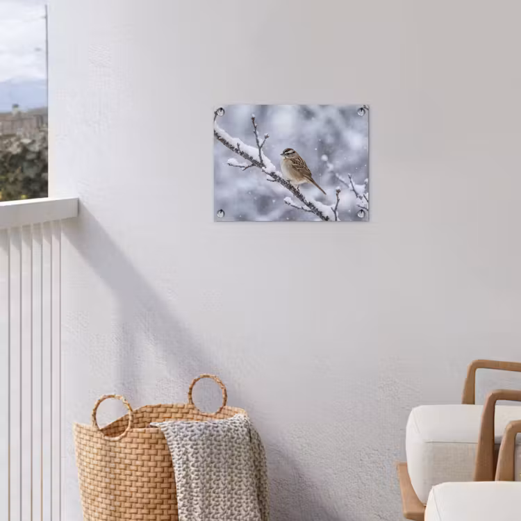 Vogel - Tak - Sneeuw - Winter tuinposter los doek klein -sfeer8