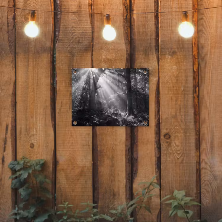 Bos - Lichtstralen - Natuur - Zwart-wit tuinposter los doek klein -sfeer1