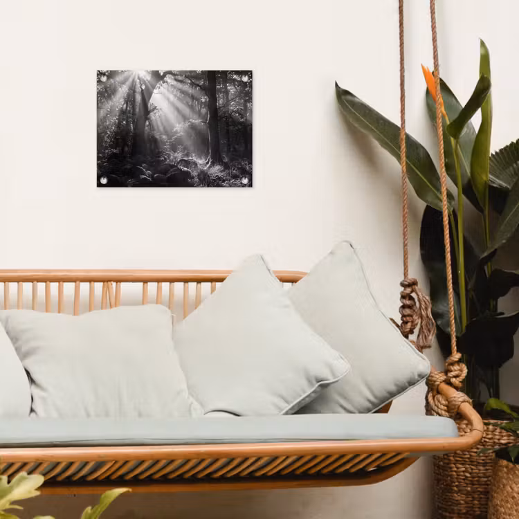 Bos - Lichtstralen - Natuur - Zwart-wit tuinposter los doek klein -sfeer7