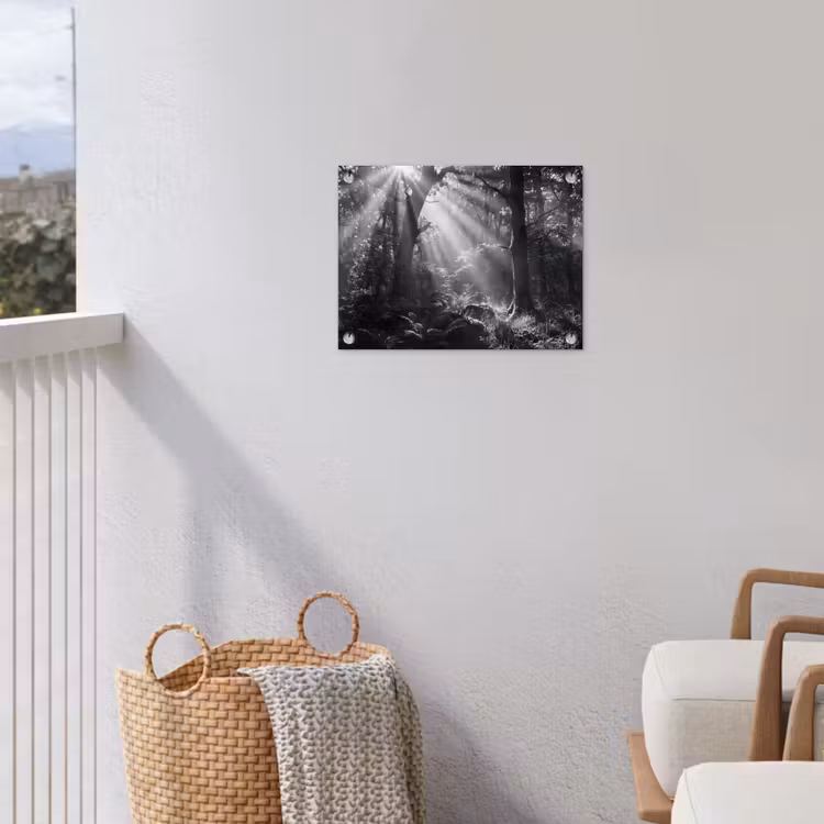 Bos - Lichtstralen - Natuur - Zwart-wit tuinposter los doek klein -sfeer8