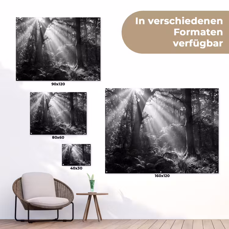 Bos - Lichtstralen - Natuur - Zwart-wit tuinposter los doek klein -Xsfeer9_DE