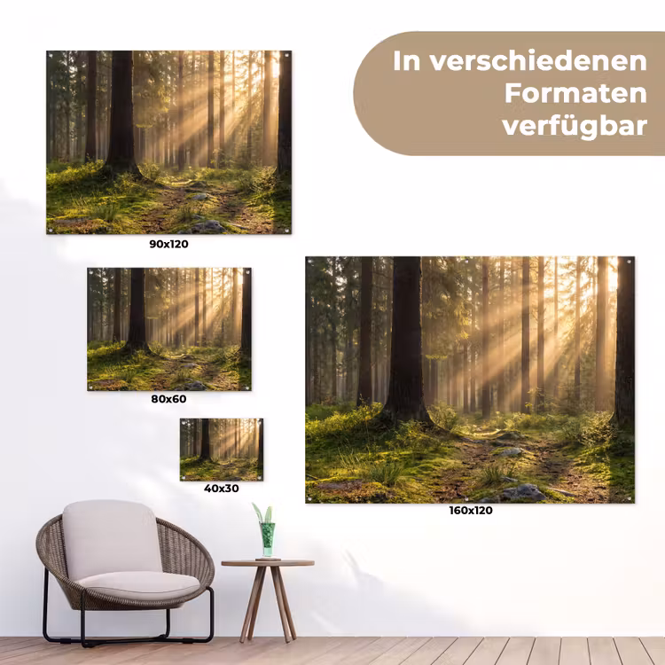 Bos - Zonlicht - Gras tuinposter los doek klein -Xsfeer9_DE