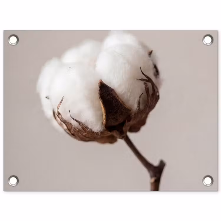 Katoenbol - Minimalistisch - Wit tuinposter los doek klein -3d