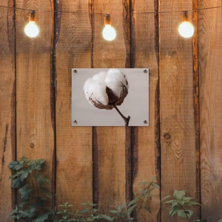 Katoenbol - Minimalistisch - Wit tuinposter los doek klein -sfeer1