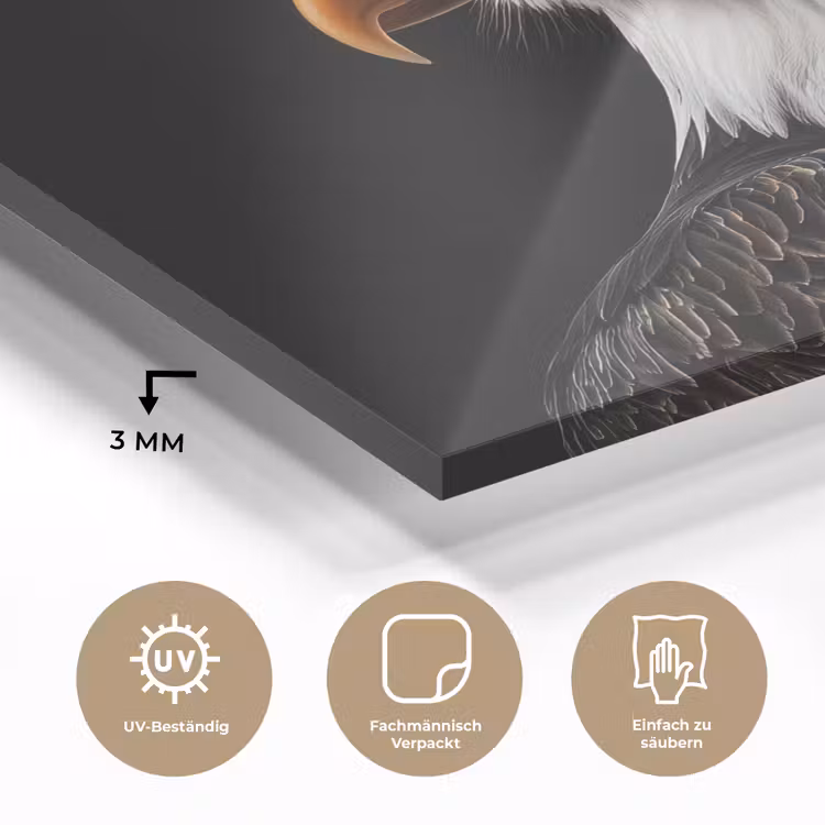 Arend -Amerika - Koksmuts - Vogel - Stoer plexiglas 5mm klein -wsfeer2_DE