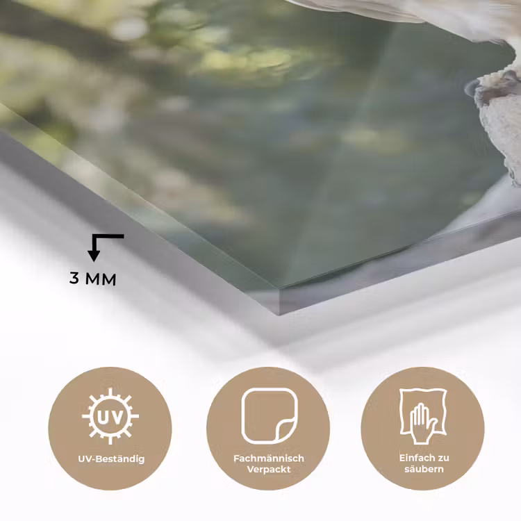 Arend - Hout - Wit - Planten plexiglas 5mm klein -wsfeer2_DE