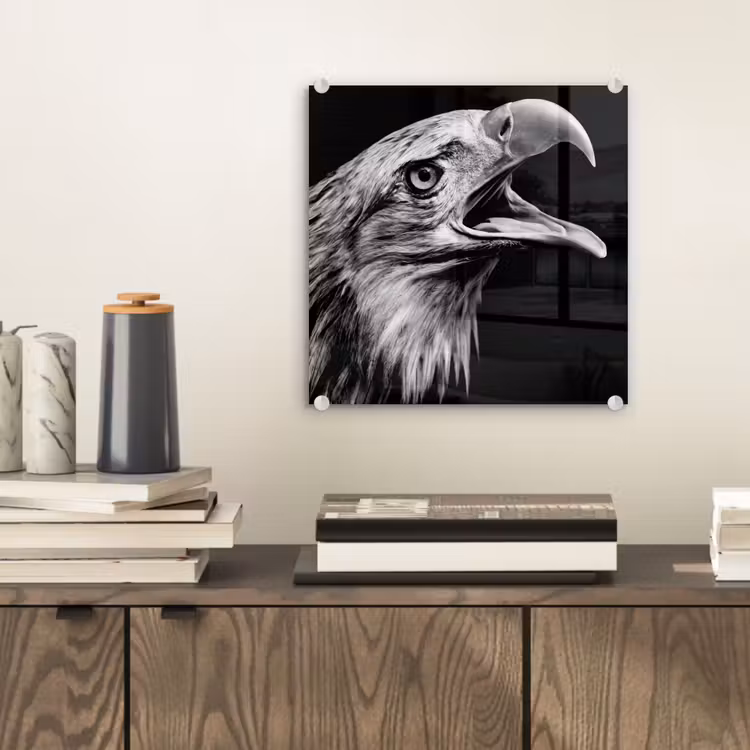 Adelaar - Portret - Roofvogels - Zwart - Wit - Vogel plexiglas 5mm klein -sfeer1