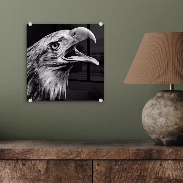 Adelaar - Portret - Roofvogels - Zwart - Wit - Vogel plexiglas 5mm klein -sfeer3