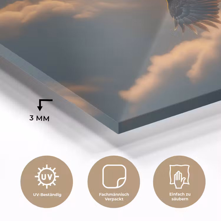 Adelaar - Wolken - Zon plexiglas 5mm klein -wsfeer2_DE