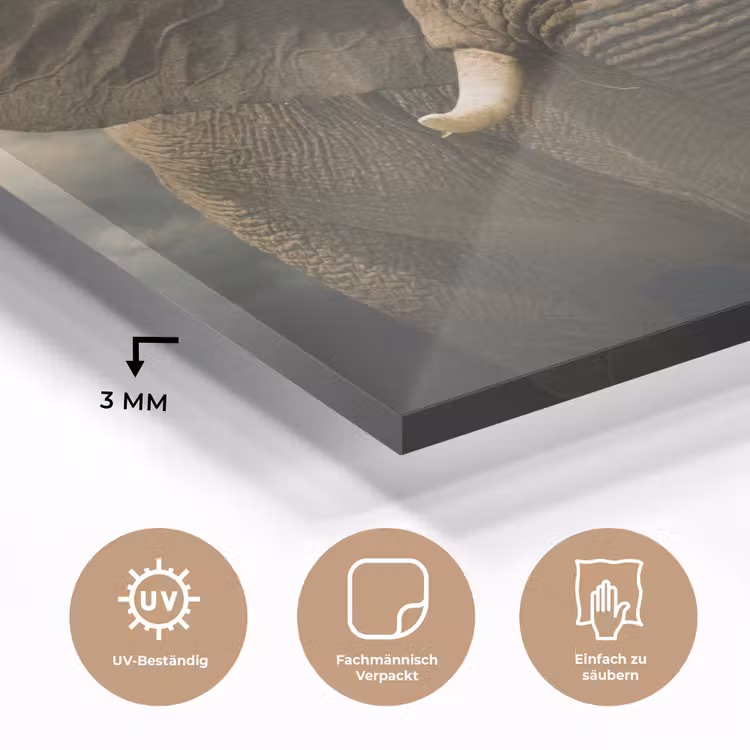 Afrikaanse olifant tegen de donkere wolken plexiglas 5mm klein -wsfeer2_DE