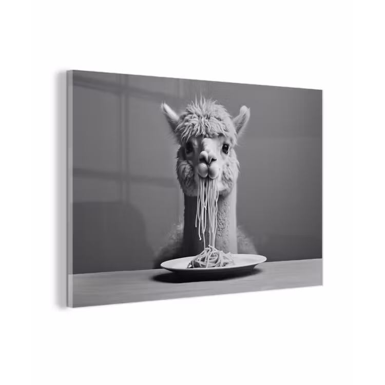 Alpaca - Pasta - Zwart - Wit - Grappig - Dieren plexiglas 5mm klein -zzzproduct_nieuw