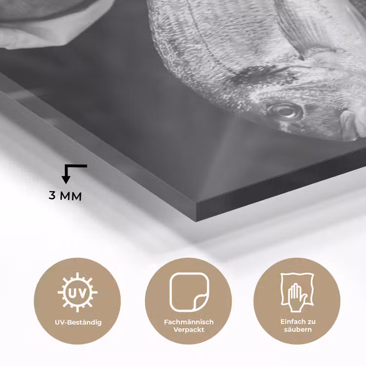 Vissen - Chef - Zwart - Wit plexiglas 5mm klein -wsfeer2_DE