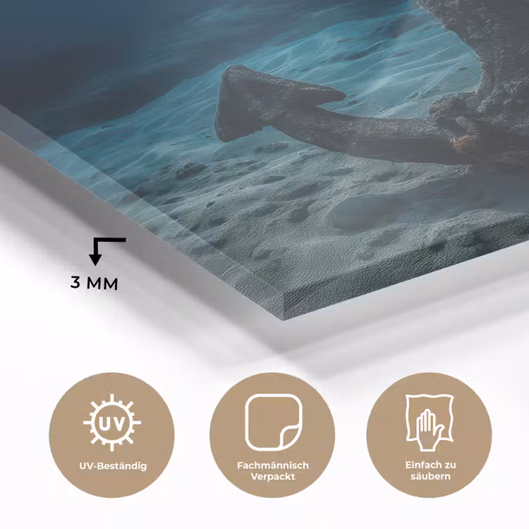 Anker - Ijzer - Zeebodem - Zand plexiglas 5mm klein -wsfeer2_DE