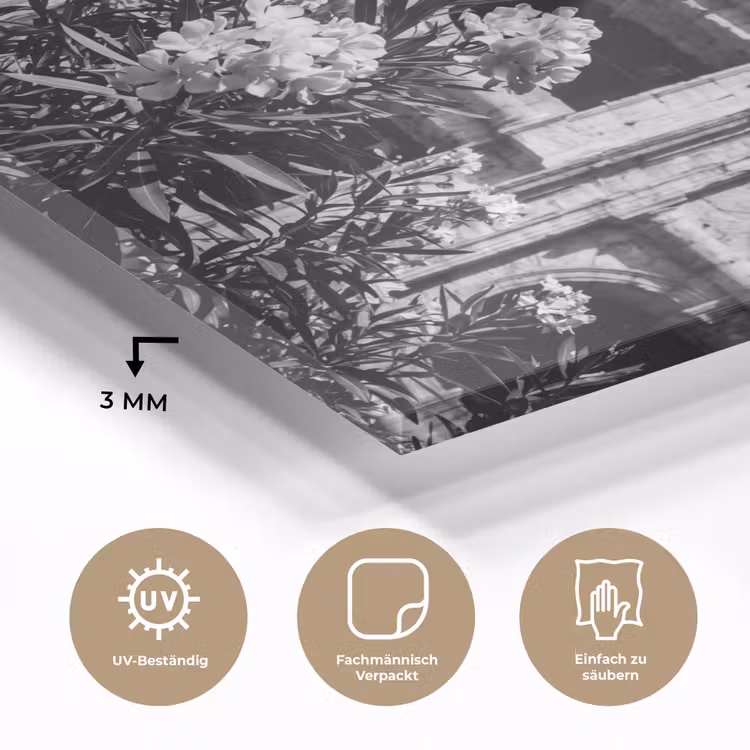 Glasbild - Architektur – Kolosseum – Rom – Historisch – Schwarz-Weiß - Architectuur - Colosseum - Rome - Historisch - Zwart-wit plexiglas 5mm klein