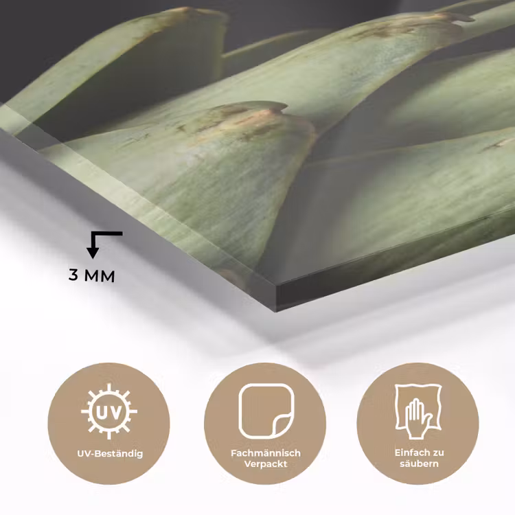 Glasbild - Artischocke – Grün – Essen - Artisjok - Groen - Eten plexiglas 5mm klein