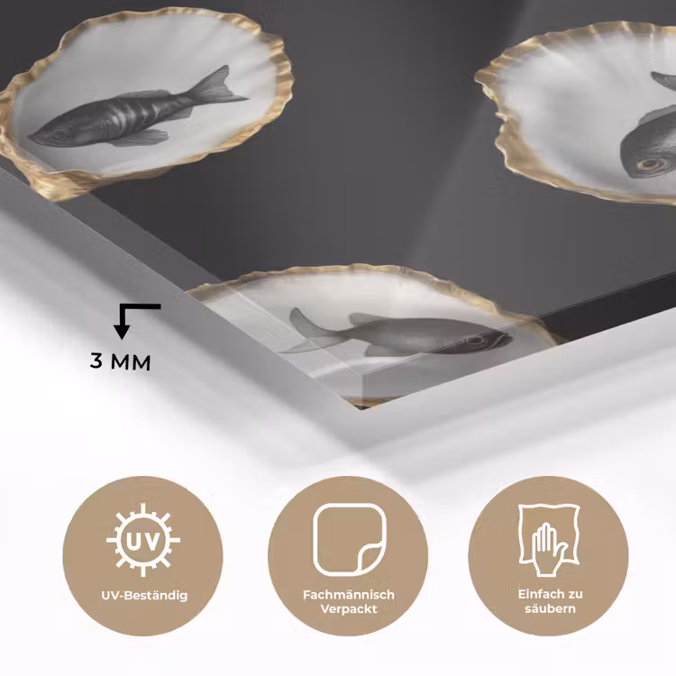 Oesters - Zwart - Vissen - Goud plexiglas 5mm klein -wsfeer2_DE