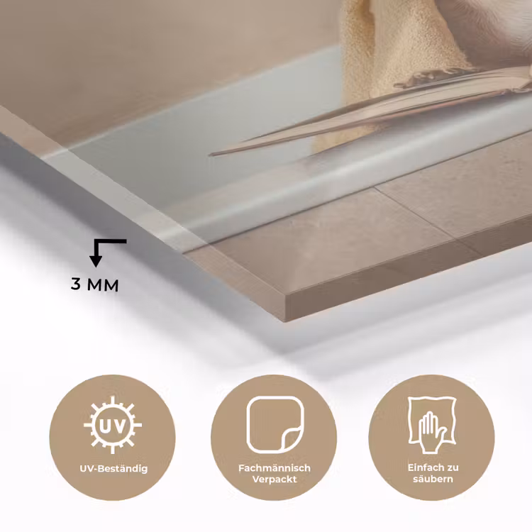 Bad - Hond - Boek - Zonnebril plexiglas 5mm klein -wsfeer2_DE