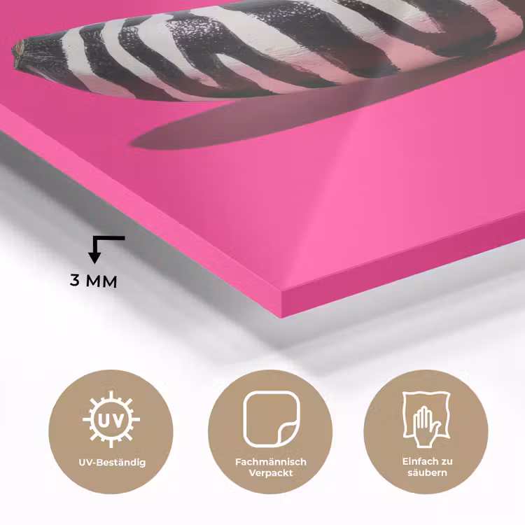 Banaan - Zebraprint - Roze plexiglas 5mm klein -wsfeer2_DE