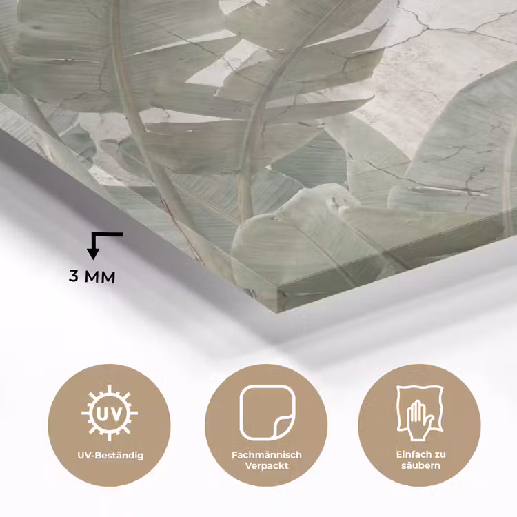 Bananenbladeren - Beton - Groen plexiglas 5mm klein -wsfeer2_DE