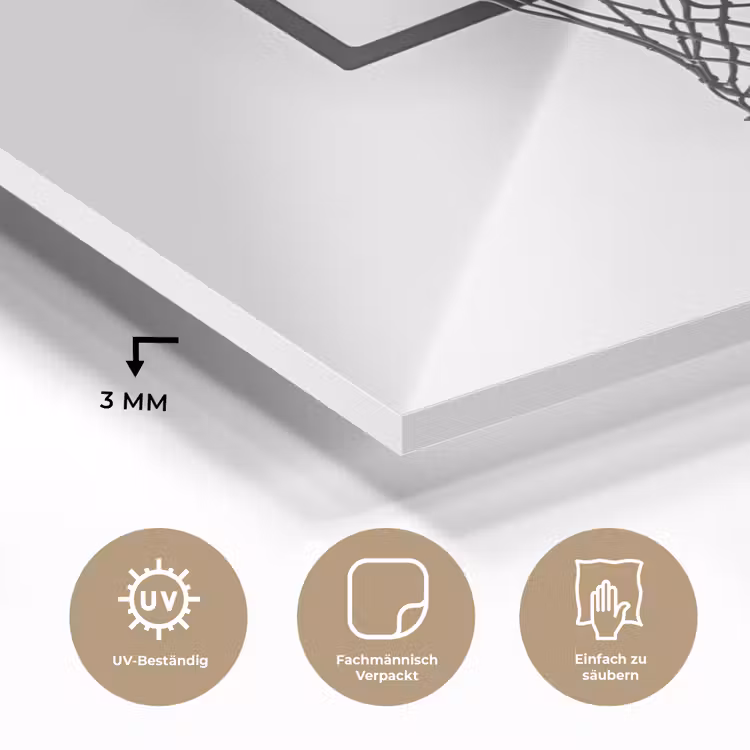 Basketbalbord - Minimalistisch - Zwart plexiglas 5mm klein -wsfeer2_DE