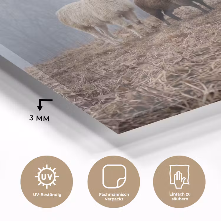 Boerderijdieren - Groep - Mist - Natuur - Rustiek plexiglas 5mm klein -wsfeer2_DE