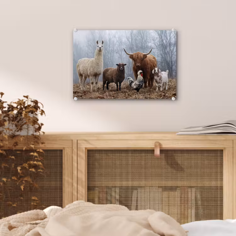 Boerderijdieren - Groep - Mist - Natuur - Rustiek plexiglas 5mm klein -sfeer3