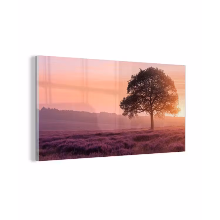 Boom - Heide - Zonsopgang plexiglas 5mm klein -z3d